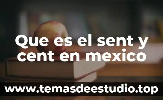 Que es justicia segun mexico 6 Que es el sent y cent en mexico