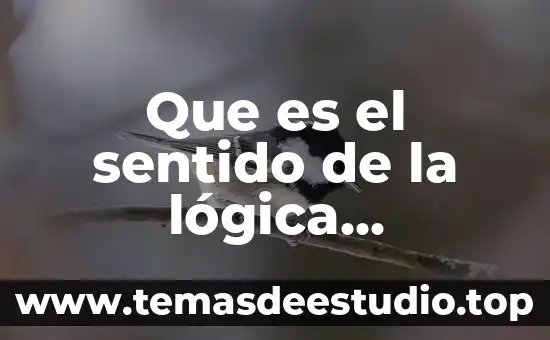 Que es un calculo proposicional 3 Que es el sentido de la lógica proposicional