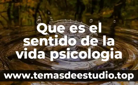 Que es diada en psicologia 5 Que es el sentido de la vida psicologia