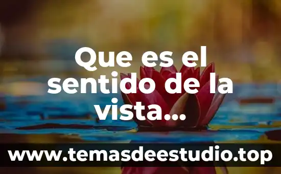 Que es el objetivo de la sociedad 8 Que es el sentido de la vista explicacion para niños
