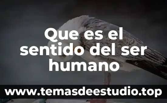 Que es el sentido del ser humano