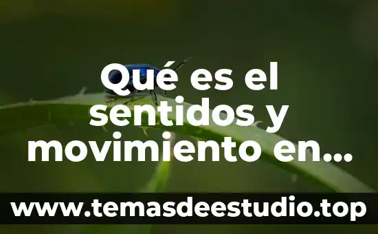 Qué es el sentidos y movimiento en física
