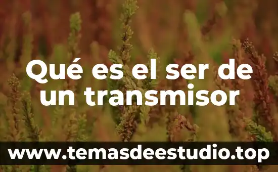Que es el ser humano la guia 5 Qué es el ser de un transmisor