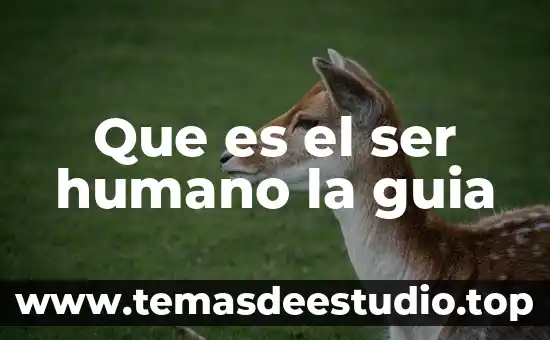 Lo que es ser madre 7 Que es el ser humano la guia