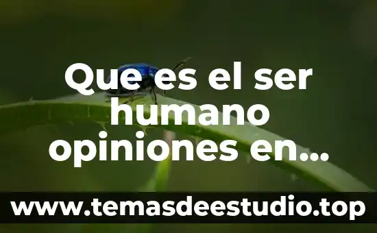 Que es un argumento y los tipos de opiniones 3 Que es el ser humano opiniones en filosofia