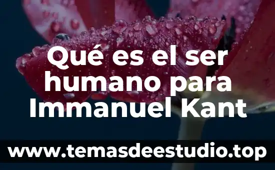 Qué es el ser humano para Immanuel Kant