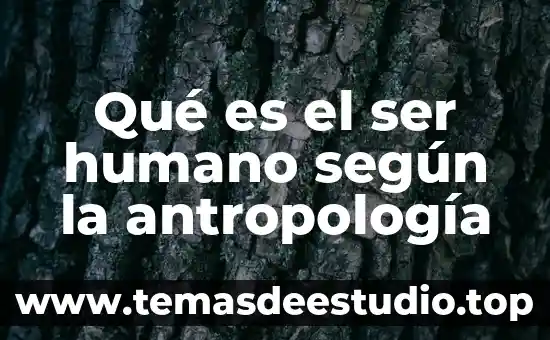 Decir que es un gran ser humano carta 3 Qué es el ser humano según la antropología