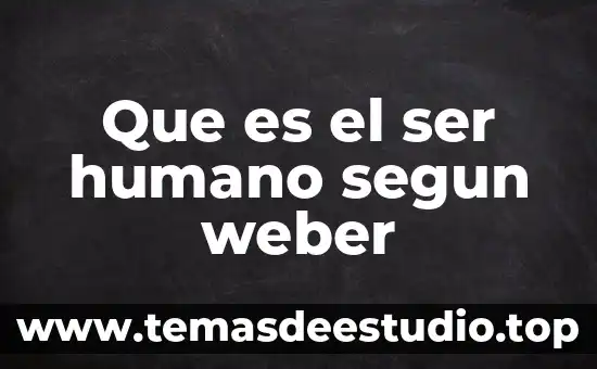 Qué es el significado según 4 Que es el ser humano segun weber