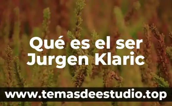 Que es ser un politico corrupto 3 Qué es el ser Jurgen Klaric
