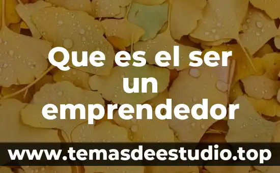 Que es el ser un emprendedor