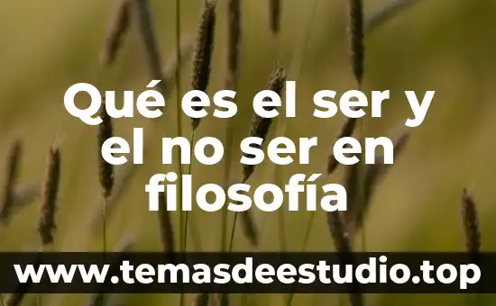 Qué es el concepto de formación 3 Qué es el ser y el no ser en filosofía