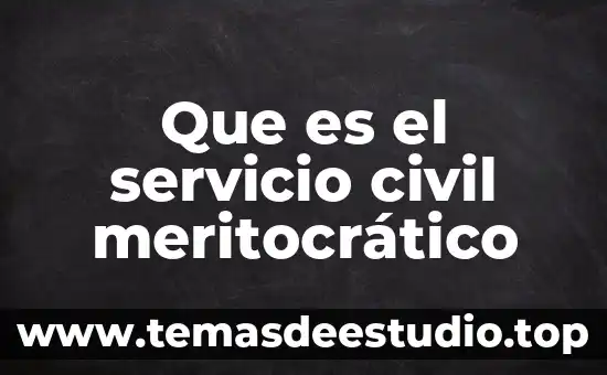 Que es el servicio civil meritocrático