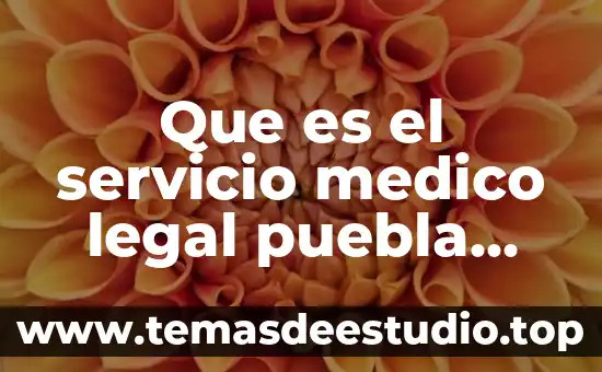 Qué es retención de líquidos nombre médico 5 Que es el servicio medico legal puebla slideshare