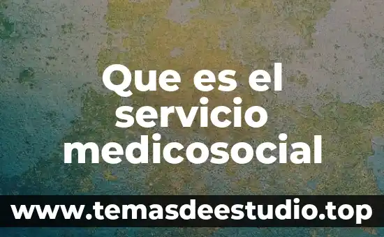 Que es el concepto en un servicio de luz 8 Que es el servicio medicosocial