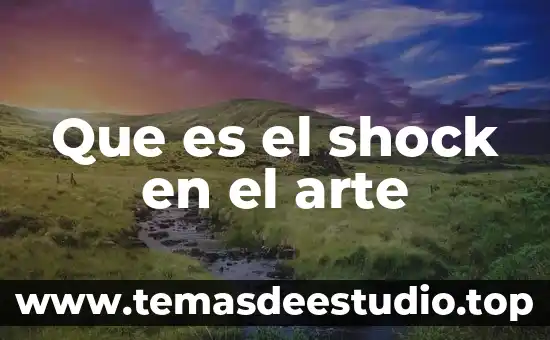 Que es el shock en el arte