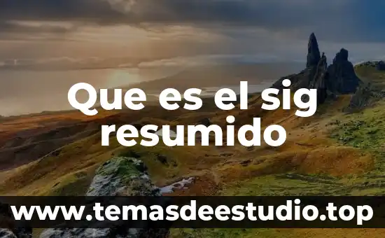 Que es un frainciscano resumido 6 Que es el sig resumido