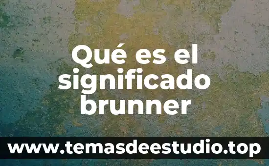 Qué es segregación significado 3 Qué es el significado brunner