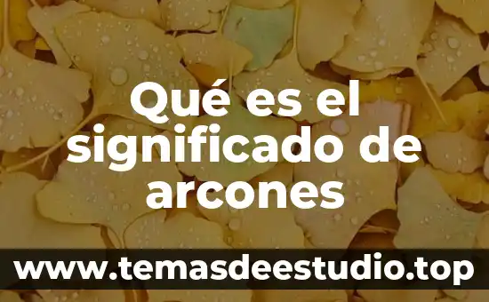 Que es erga omnes significado 4 Qué es el significado de arcones