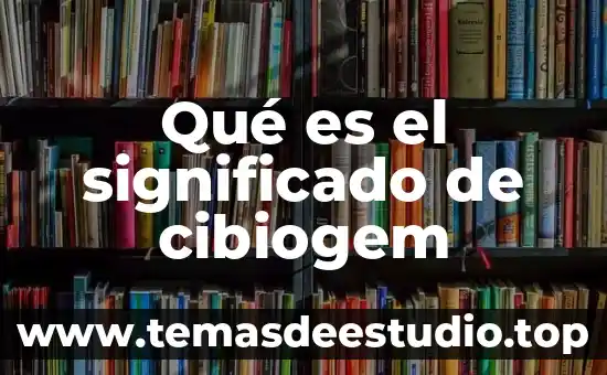 Que es significado de sentido social 4 Qué es el significado de cibiogem