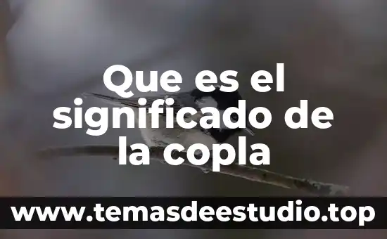 Que es una copla ejemplos 4 Que es el significado de la copla