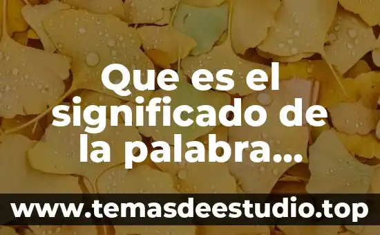 Que es la palabra enesima 6 Que es el significado de la palabra panacea