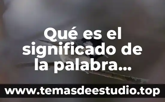 Que es una palabra cñlave 6 Qué es el significado de la palabra prudente