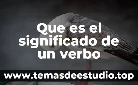 Que es un elemento natural significado 8 Que es el significado de un verbo