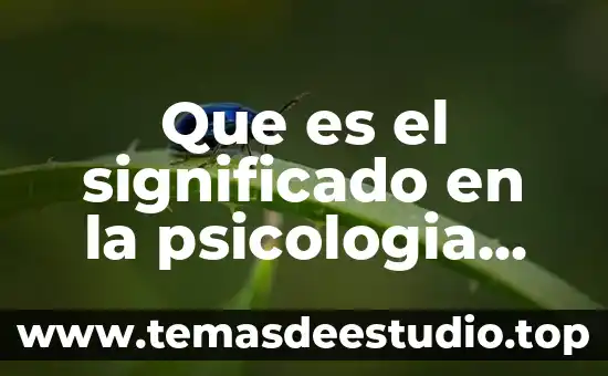 Qué es el sistema organizacional informático 5 Que es el significado en la psicologia organizacional
