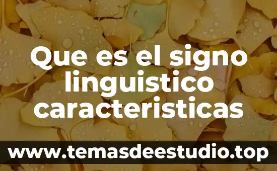 Que es bon en costos 7 Que es el signo linguistico caracteristicas