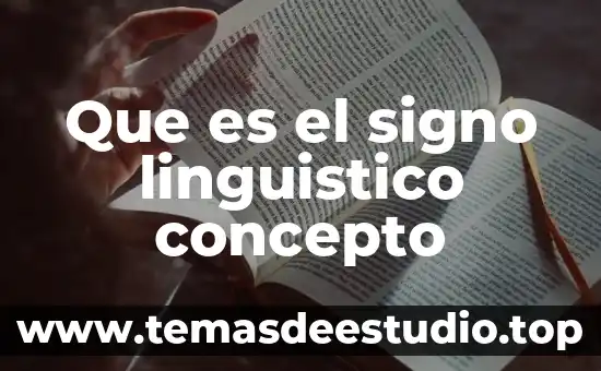 Que es un signo en el arte 8 Que es el signo linguistico concepto