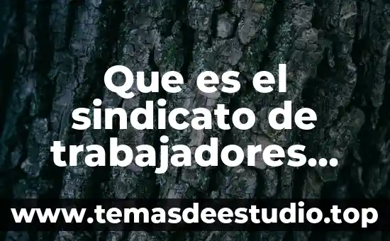 Que es expedientes de trabajadores 8 Que es el sindicato de trabajadores del sistema der salud