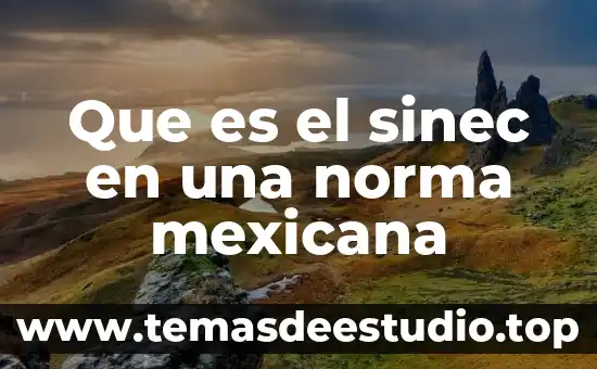 Que es una monografia significado corto 3 Que es el sinec en una norma mexicana