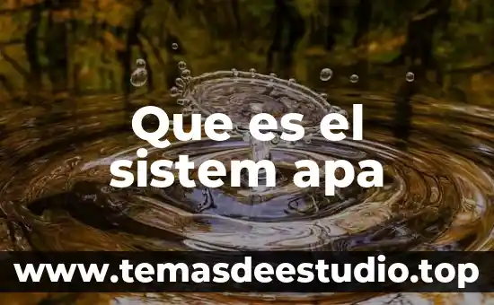 Que es check sistem tray 3 Que es el sistem apa