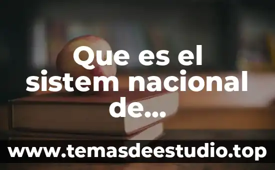 Que es check sistem tray 6 Que es el sistem nacional de coordinacion fiscal