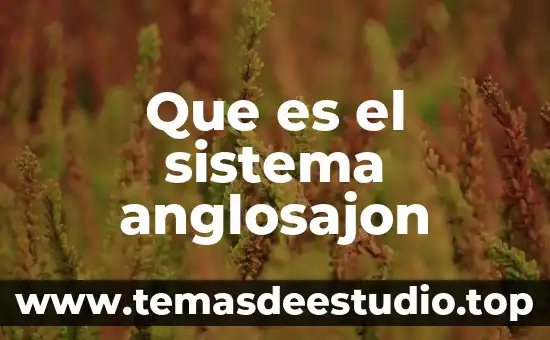 Que es el concepto de sistema 3 Que es el sistema anglosajon