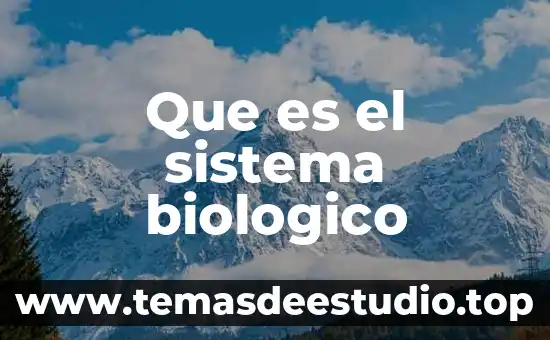 Que es identificar los elementos de la danza 7 Que es el sistema biologico
