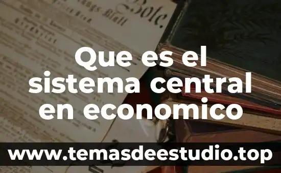Que es el sistema central en economico