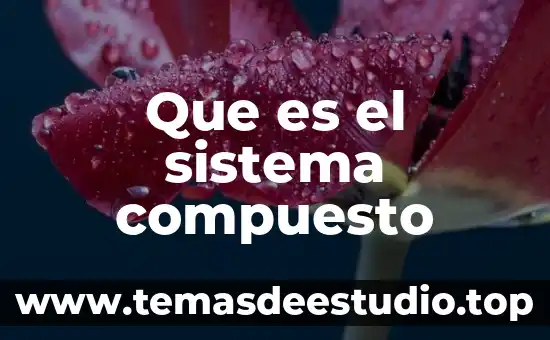 Sistema tvj que es 4 Que es el sistema compuesto