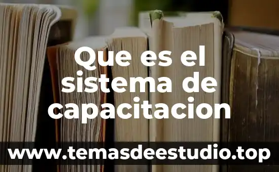 Que es el sistema de capacitacion