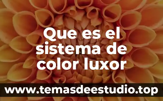 Que es el color de texto 3 Que es el sistema de color luxor