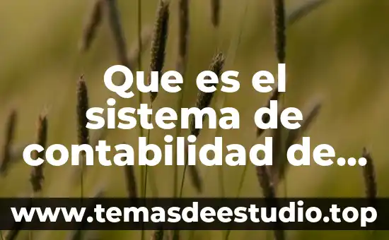 Qué es el perímetro o el área de una figura 4 Que es el sistema de contabilidad de aspel