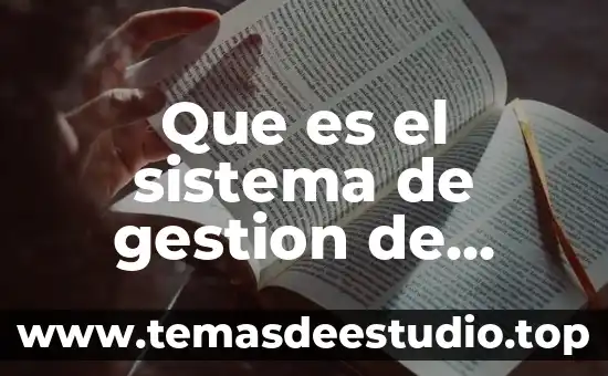 Que es pileta publica 4 Que es el sistema de gestion de clientes