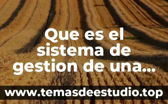 Que es el sistema de gestion de una organizacion