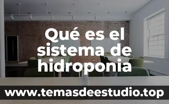 Qué es sumerios definición 6 Qué es el sistema de hidroponia