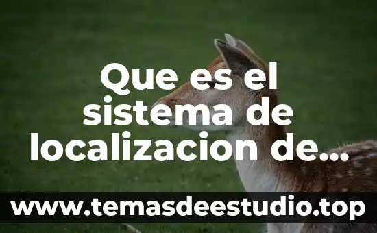Qué es el número de KB según Windows 7 Que es el sistema de localizacion de windows