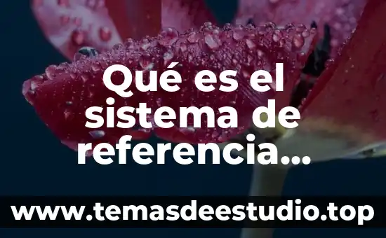 Qué es el número relativo 6 Qué es el sistema de referencia absoluto relativo