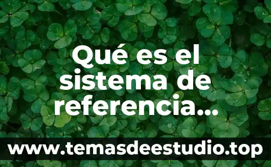 Qué es el número relativo 7 Qué es el sistema de referencia relativo