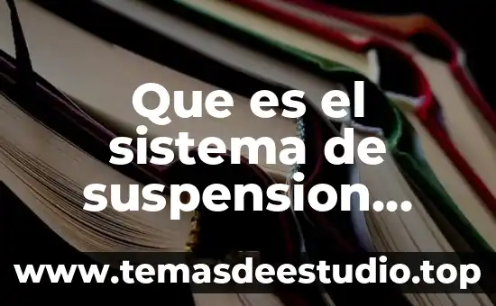 Que es la fiel firma electronica 7 Que es el sistema de suspension electronica