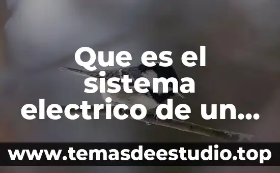 Qué es un capacitor de un motor eléctrico 7 Que es el sistema electrico de un vehiculo