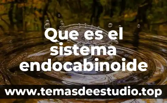 Que significa sspa y que es el sistema sspa 3 Que es el sistema endocabinoide
